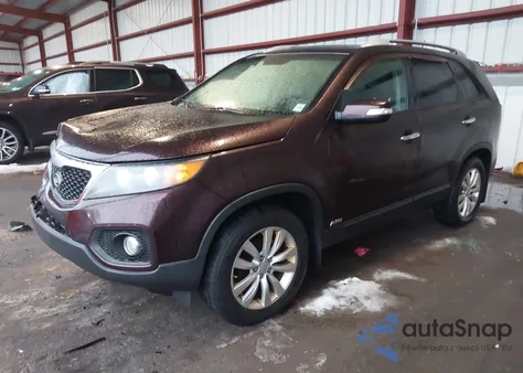 2011 Kia Sorento Ex z USA, uszkodzony, nr VIN 5XYKUCA18BG081655